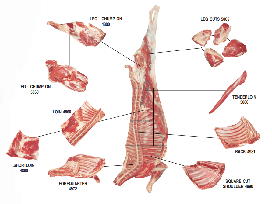 Beef Cut