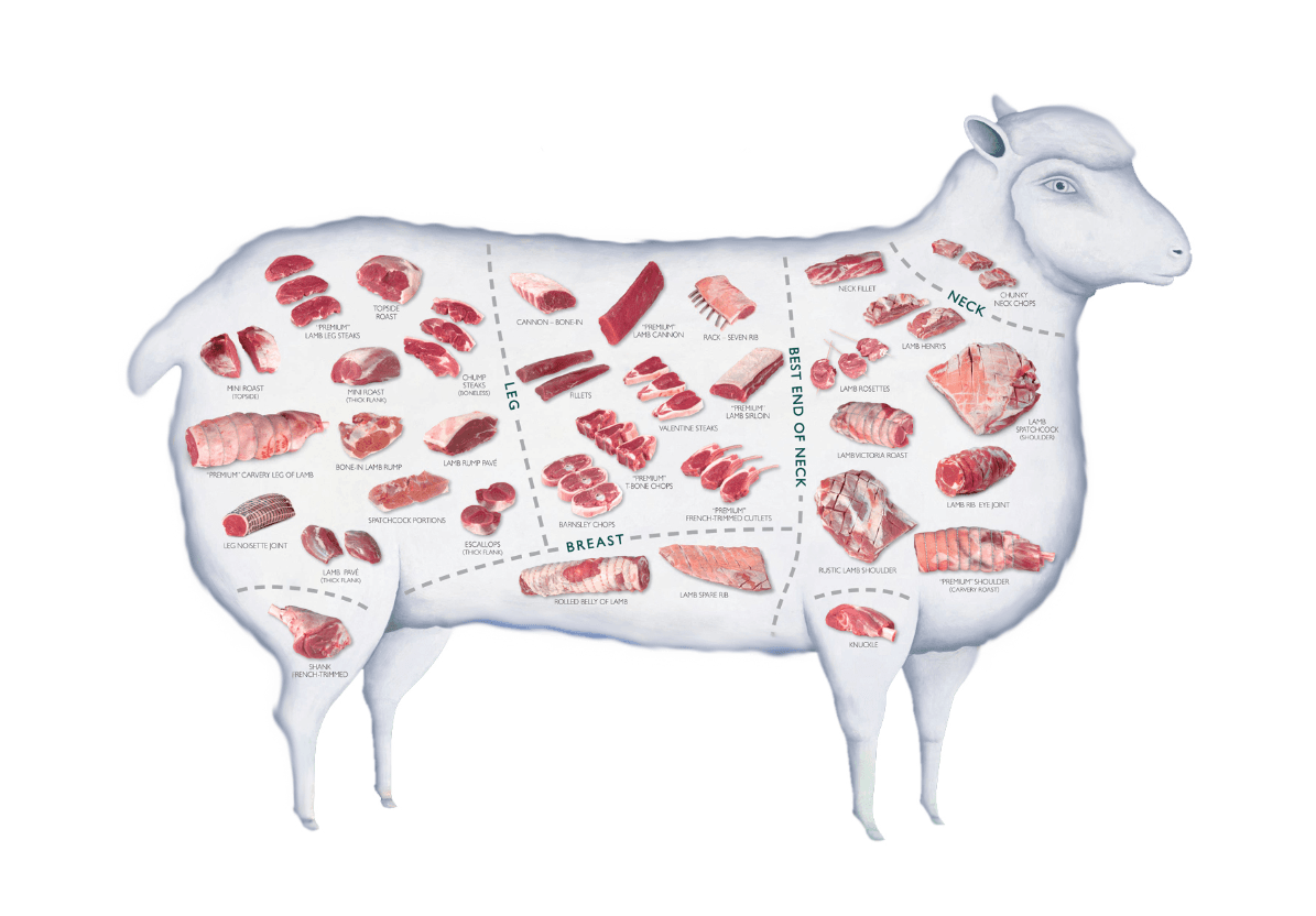Beef Cut